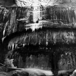 Wade into the Swallow of the Stream